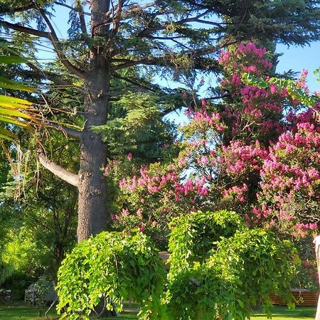 ルハン・デ・コージョ Quinta Ugarte Bed & Breakfast エクステリア 写真
