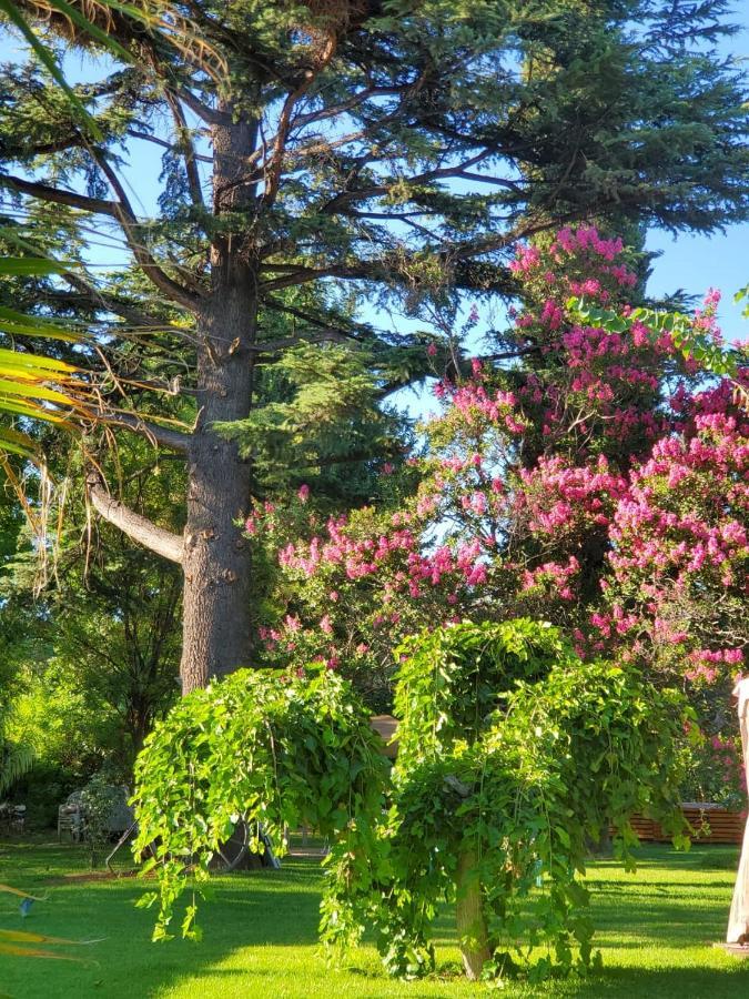 ルハン・デ・コージョ Quinta Ugarte Bed & Breakfast エクステリア 写真